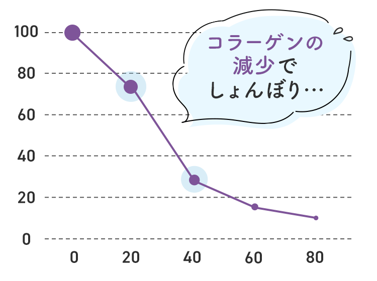 コラーゲン　減少　年齢　バスト　ハリ　垂れ