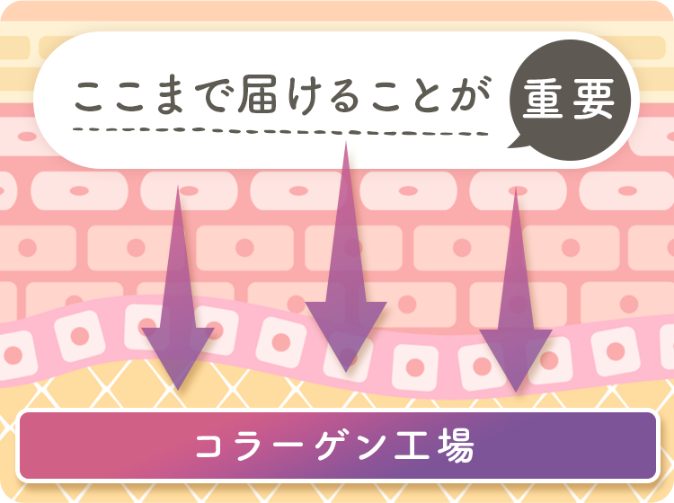 コラーゲン　浸透　届く　バスト